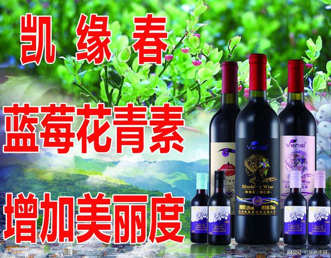 凱緣春藍(lán)莓酒搶灘海南自貿(mào)港 酒業(yè)進(jìn)出口新機遇與市場布局
